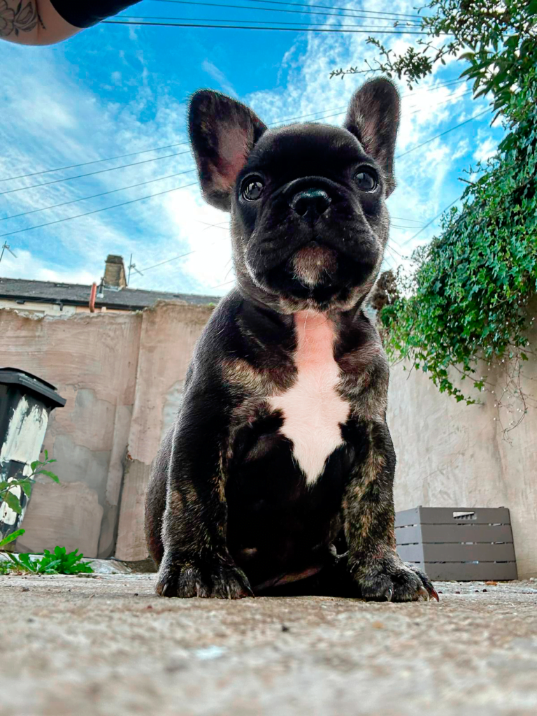 WhatsApp Image 2023 09 09 at 20